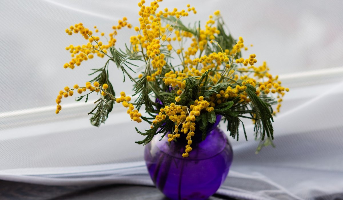 Simple Seasonal Table Settings for Autumn Gatherings